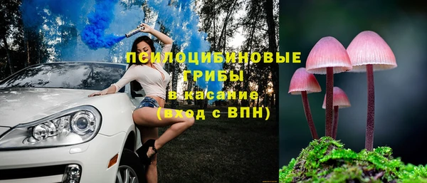 дурь Липки