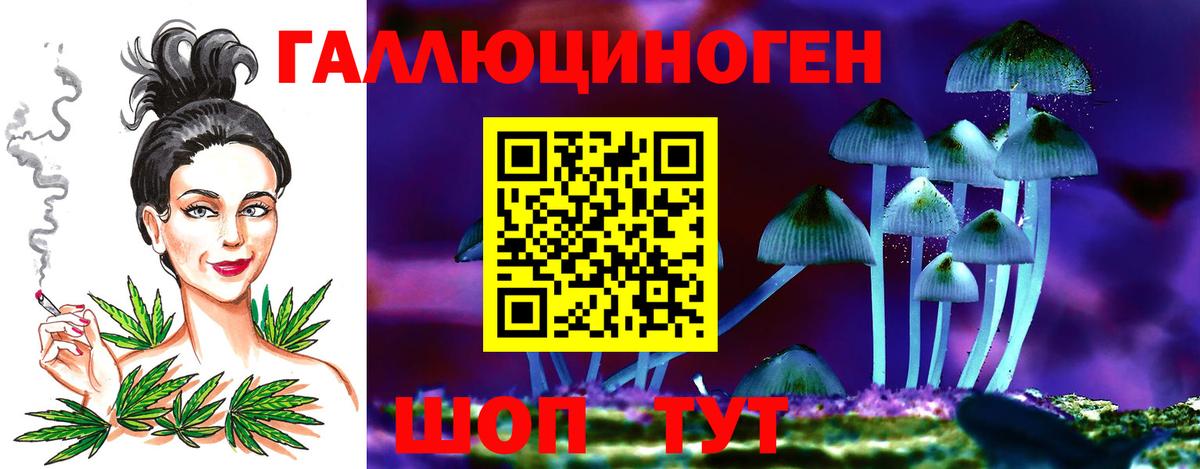 где продают наркотики  Чернушка  Псилоцибиновые грибы Psilocybe 