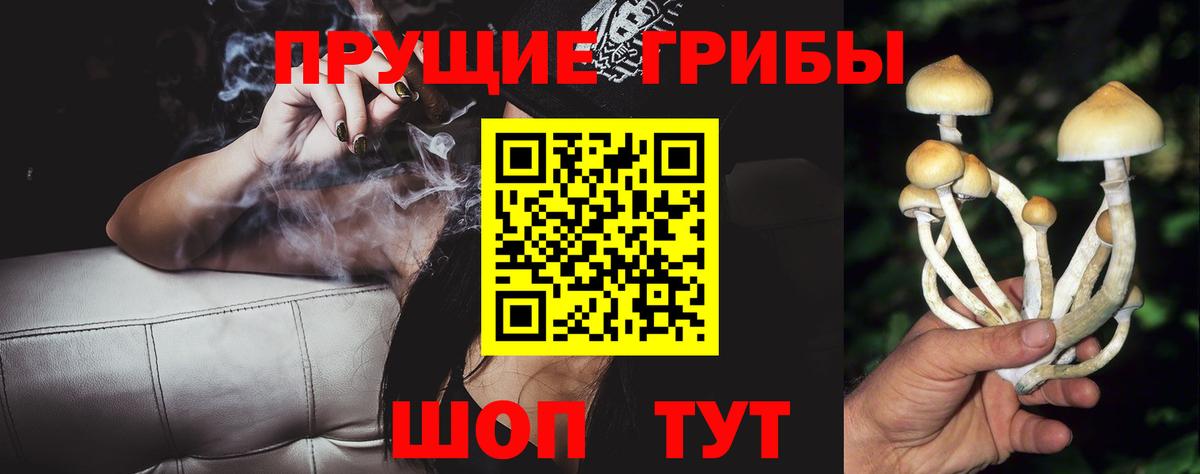 Псилоцибиновые грибы мицелий Чернушка